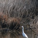 마치세월교 이미지