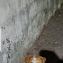 교촌길 이미지