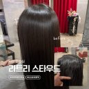 지경희동물병원 미용실 | 부산 덕천 미용실 라트리스타우드 손상모 매직 솔직후기