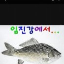 자일낚시터 이미지