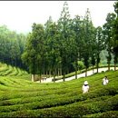 득량주유소 이미지