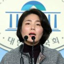 홍이v
