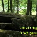 (주)산지