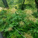 서울대-관악-농업생명과학대학