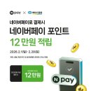 에이스침대 대전월평점 이미지