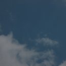 국화라이프 | 마산 가고파 국화축제 전시관별 구성