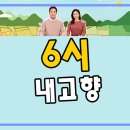6시내고향 충북 괴산 곰취 파는곳 구매 주문방법 가격 택배 문의 연락처 5월 16일 방송