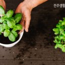 생활용품다팜