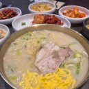 만보약국 | 청계천 잉어킹/종각명동 트리/종로 맛집투어