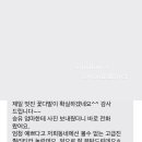 버들초등학교 이미지