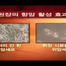 가배울