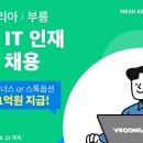 메쉬