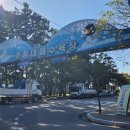 중앙솔밭캠핑장 이미지