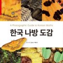 김상수병원 | [이정학의 신비한 자연속으로 7] 갈색점비행기밤나방 (2020. 9.23.)