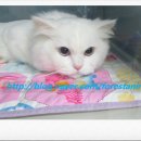 하남숲동물병원 이미지