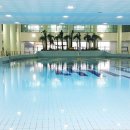 남선공원종합체육관 수영장 이미지