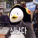 몽비스토리