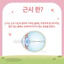 센트럴 안경 이미지