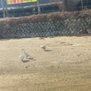 쌍인카센터 이미지