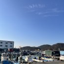 씨유울산진하해변점 | 울산 맛집 찾다가 방문한 고향해물횟집 : 진하해변길 회맛집으로 가족 모두 만족한 후기