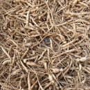 명이농장 이미지