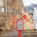 포유농장 이미지