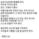 법정스님의 좋은 글 이미지