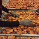 발효를 담다 이미지