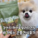 비기빅스 하이포알러지간식 강아지곤충