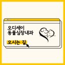 오디세이 동물심장내과 이미지