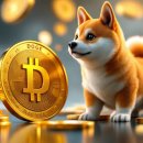 도지(DOGE) 이미지