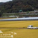 한빛농원 - 밀양시 하양지안길 4 | 한빛농원
