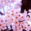 대공원역 2번 출구 앞 이미지