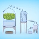 경희채움한의원 이미지