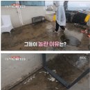 제주도에만 있다는 천연 재떨이.jpg 이미지