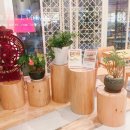 더쏠(The Sol) 이미지