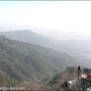 용문산 정상 이미지