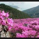 외도여행펜션 이미지