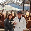 유라이크 이미지