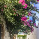 힐리언스 이미지