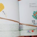 콩·붕 이미지