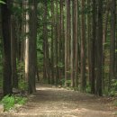 법기수원지 이미지