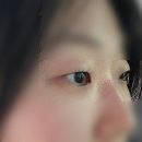 포유래쉬 | 선릉 속눈썹펌 래쉬포유 솔직 후기! (유지력, 스타일링)