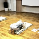 3000배 절 명상의 체험 : 몸과 마음의 변화