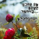 싱그러운아침