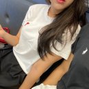 나는베짱이 이미지