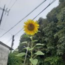 신월1리 마을회관 이미지