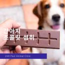 분당24시동물의료센터 이미지