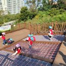 매봉산 유아숲체험원 이미지