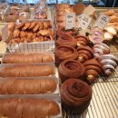 빵나무 이야기 | 포항 이동 " 빵나무이야기 "🥖/베이커리 맛집/내돈내산 후기